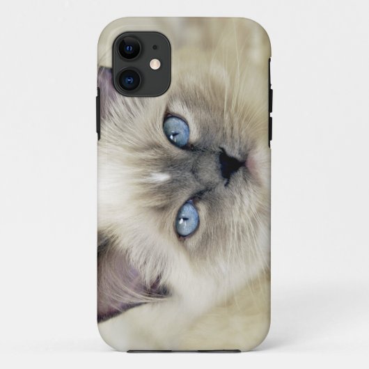ラグドール+子猫 Case-Mate iPhoneケース (裏面)