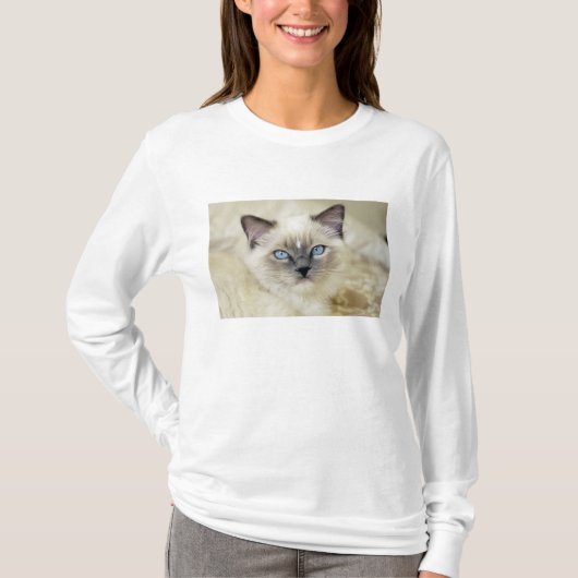 ラグドール+子猫 Tシャツ (正面)