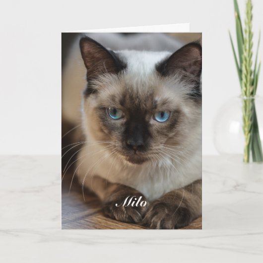 ラグドール 猫の写真と名前のオーダーメイドグッズ カード (正面)
