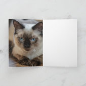 ラグドール 猫の写真と名前のオーダーメイドグッズ カード (内部)