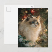 ラグドール 猫 クリスマス ポストカード (正面/裏面)