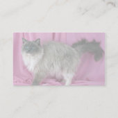 ラグドール、青いミッテッド 名刺 (裏面)