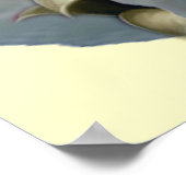 ラグドールPerfect Angel Kittenポスター ポスター (角)