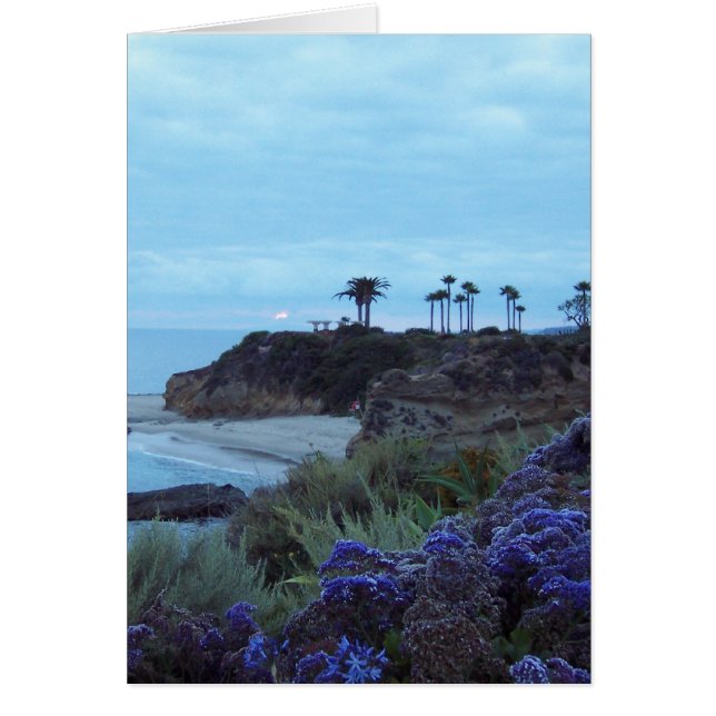 ラグナのビーチの日没の南カリフォルニア (正面)