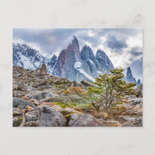 ラグナトーレエルチャルテンアルゼンチン ポストカード (正面)