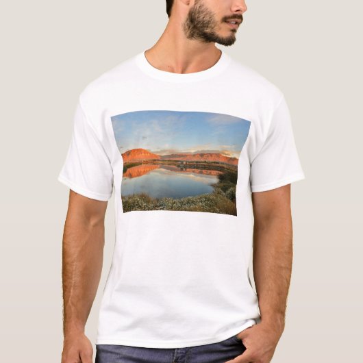 ラグナNimezの日没、El Calafate Tシャツ (正面)