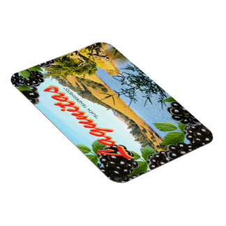 「ラグニタスでの瞑想」はがき – マグネインスパイアット マグネット