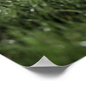 ラグビーボールが芝生の上に座っている ポスター (角)