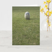 ラグビーボール カード (黄色い花)