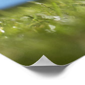 ラグビー選手がボールをTから蹴り出し、クローズアップ ポスター (角)