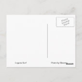 ラグーナサーフ ポストカード (裏面)