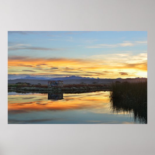 ラグーナニメズサンセット、エルカラファテ、アルゼンチン ポスター (正面)