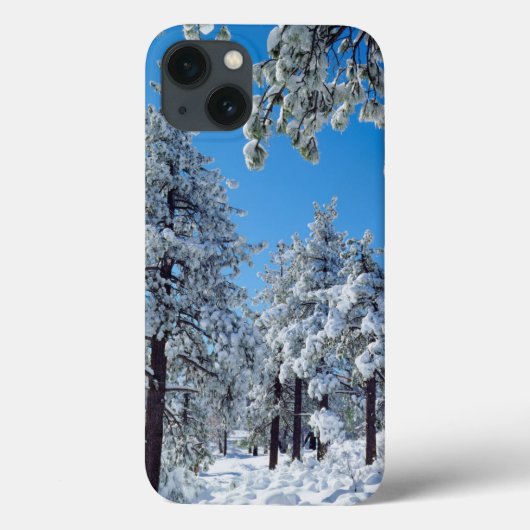 ラグーナ山脈の雪に覆われた木々 Case-Mate iPhoneケース (裏面)
