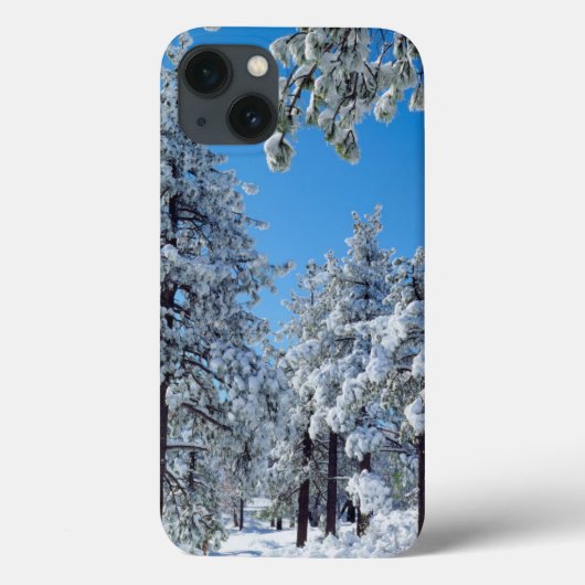 ラグーナ山脈の雪に覆われた木々 Case-Mate iPhoneケース (裏面)