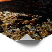 ラグーナ海の貝殻を岩に ポスター (角)