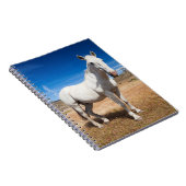 ラグーナ・アズール、馬のある風景 ノートブック (右側)