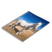 ラグーナ・アズール、馬のある風景 ノートブック (左側)