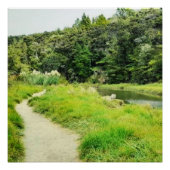 ラグーンに沿ったナチュラルなカカマトゥラのトラック写真 ポスター (正面)