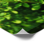 ラグーン近くのブッシュ。 ポスター (角)