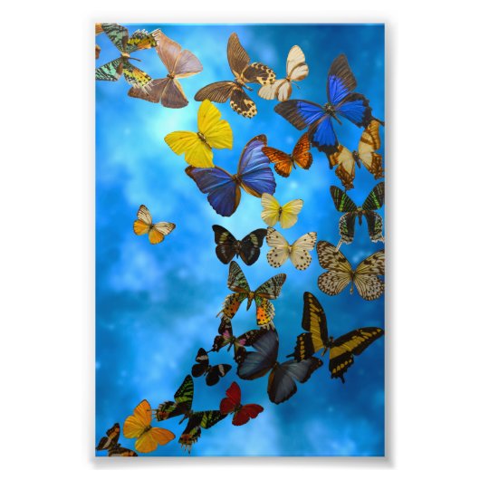 ラグ フォトプリント            (正面)