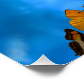 ラグ ポスター (コーナー)