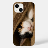 ラグiPhoneケースの下のCalico Case-Mate iPhoneケース (裏面)