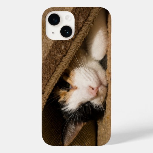 ラグiPhoneケースの下のCalico Case-Mate iPhoneケース (裏面)