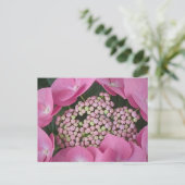 ラケチャップアジサイ葉書 ポストカード (スタンド正面)