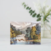 ラケット川--Adirondacksの郵便はがき ポストカード (スタンド正面)