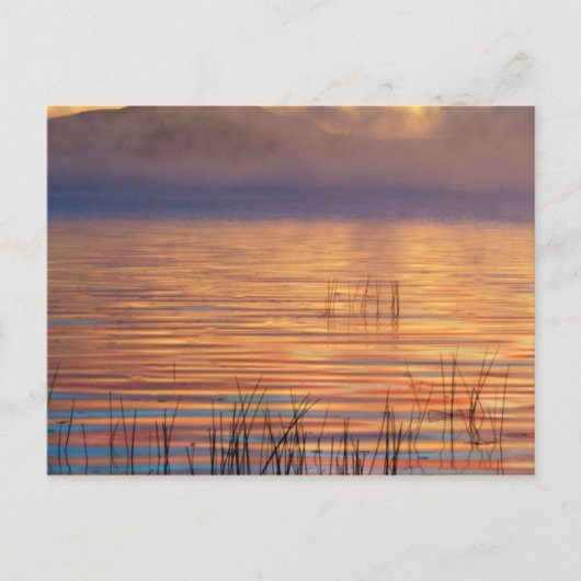 ラケット湖 | Adirondack Mountains, New York ポストカード (正面)