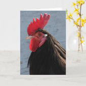 ラケンベルダールースター カード (黄色い花)