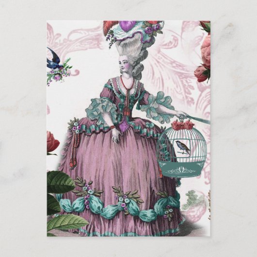 ラケージ・オオイゾー(The Bird cage) ポストカード (正面)