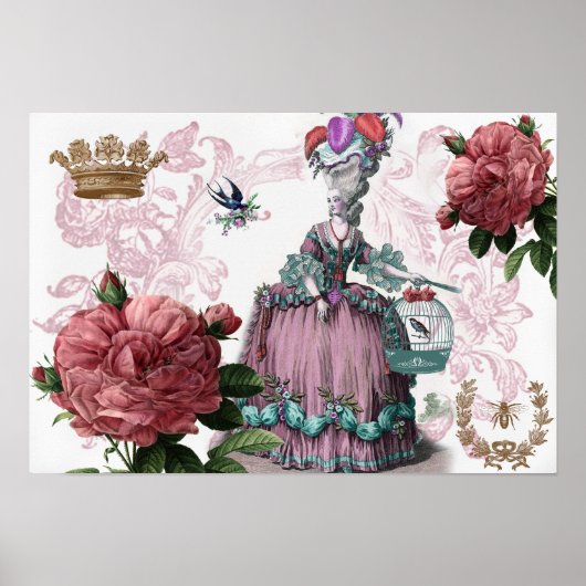 ラケージ・オーオイゾー（ザビルケージ） ポスター (正面)