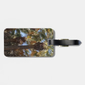 ラゲッジタグパームツリーズ ラゲッジタグ (裏面横)