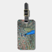 ラゲッジタグ付き/ピーコック付き革ストラップ ラゲッジタグ (正面縦)