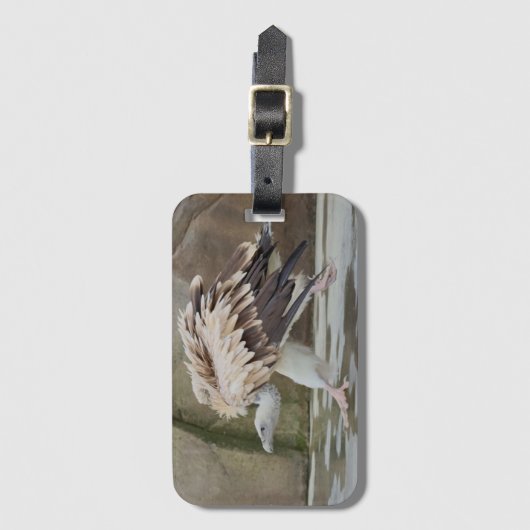 ラゲッジタグ – ハゲワシ (正面縦)