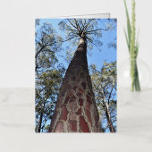 ラゲルシュポンデローサパイングリーティ空白のングカード 箔グリーティングカード (正面)