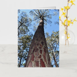 ラゲルシュポンデローサパイングリーティ空白のングカード 箔グリーティングカード