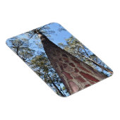 ラゲルシュポンデローサパインフレキシブルマグネット マグネット (右側)