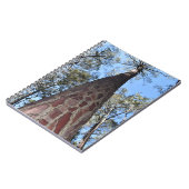 ラゲルシュポンデローザパインスパイラルノート ノートブック (左側)