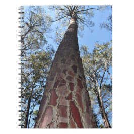 ラゲルシュポンデローザパインスパイラルノート ノートブック