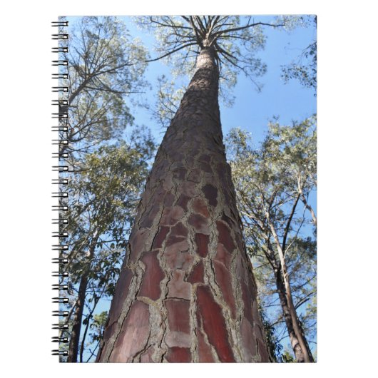 ラゲルシュポンデローザパインスパイラルノート ノートブック (正面)