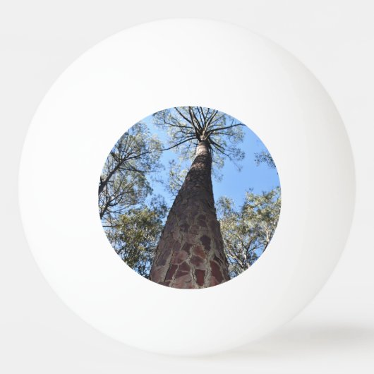 ラゲルシュポンデローザパインピンポンボール 卓球ボール (正面)