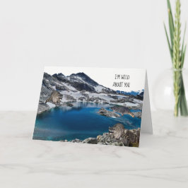 ラコオンズインザワイルド誕生日カード シーズンカード