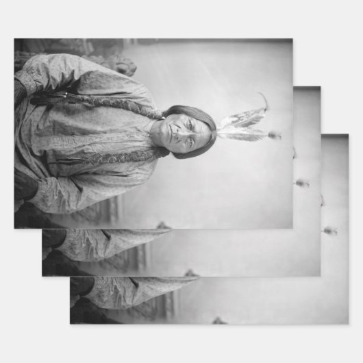 ラコタのリーダー座るブル先住民アメリカインディアン ラッピングペーパーシート (セット)