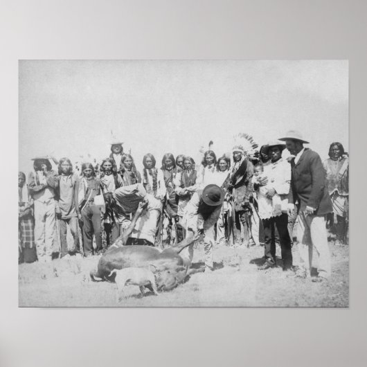 ラコタインディアン牛の皮肉写真 ポスター (正面)