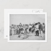 ラコタインディアン牛の皮肉写真 ポストカード (正面/裏面)