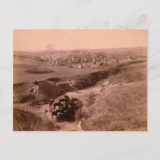 ラコタティピキャンプポストカード ポストカード (正面)