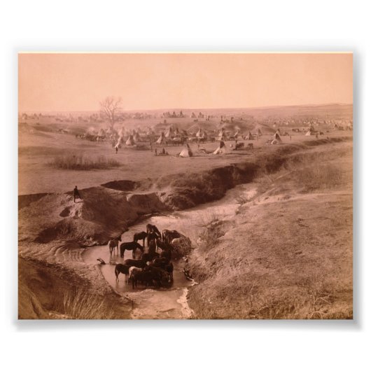 ラコタティピキャンプ写真拡大 フォトプリント            (正面)