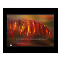 ラコタ祈りの言葉ポスター